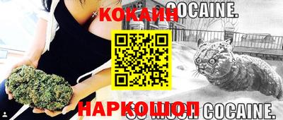 дживик Котовск